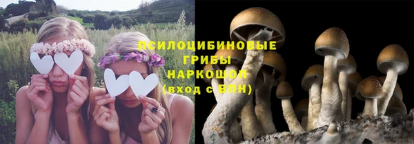 мяу мяу мука Алексеевка