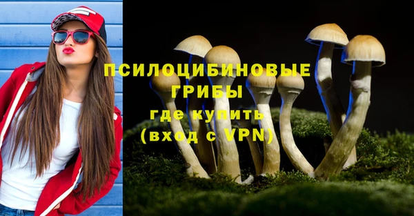 эйфоретик Алзамай