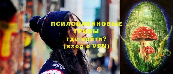 эйфоретик Алзамай